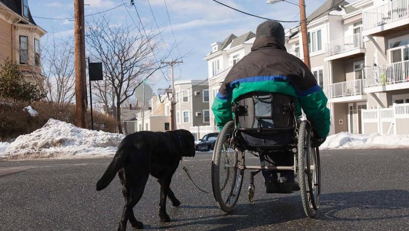man in wheelchair with dog