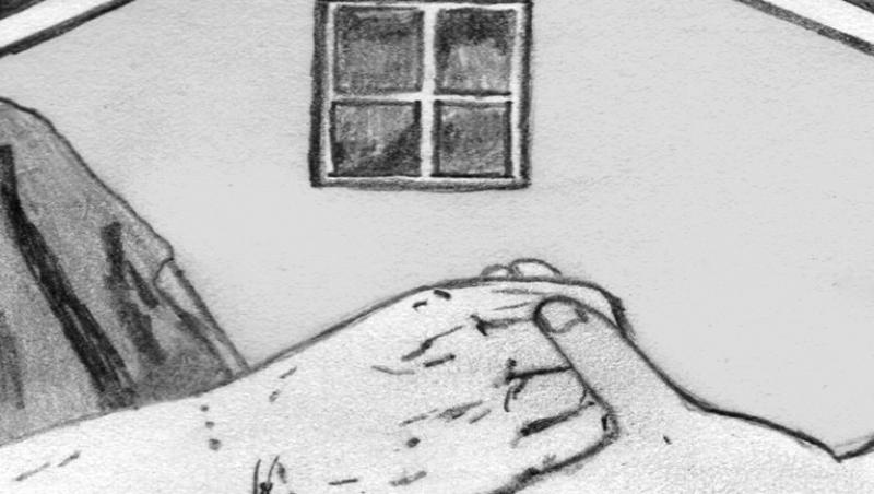 home illustration with hands